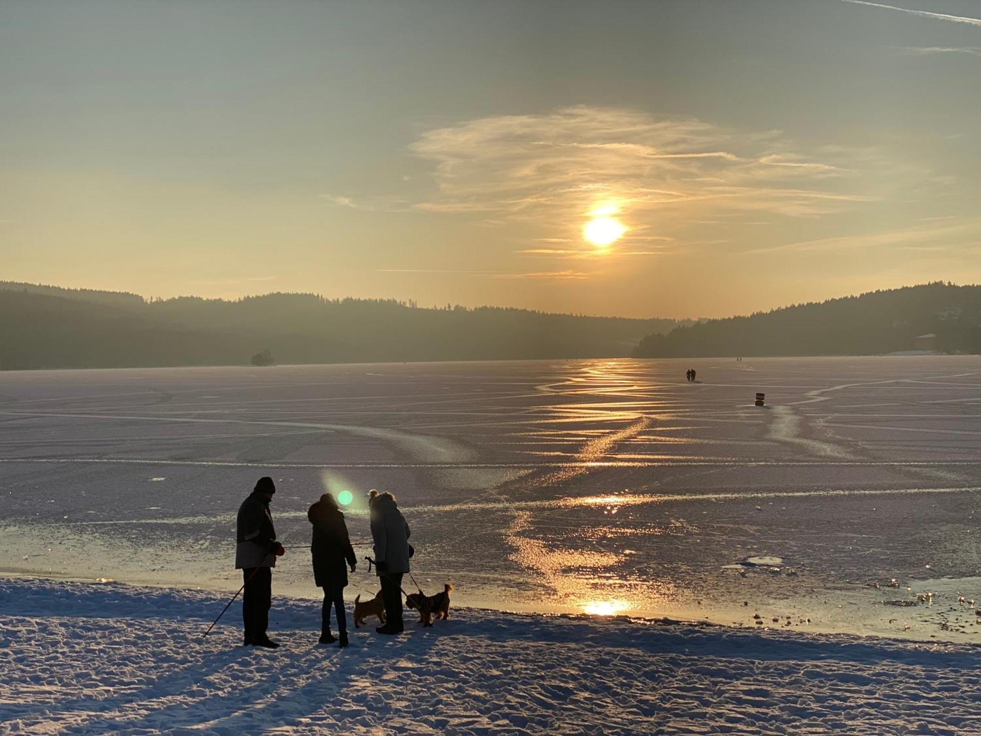 Apartman Verca Riviera Lipno 510 Lipno nad Vltavou Exteriör bild