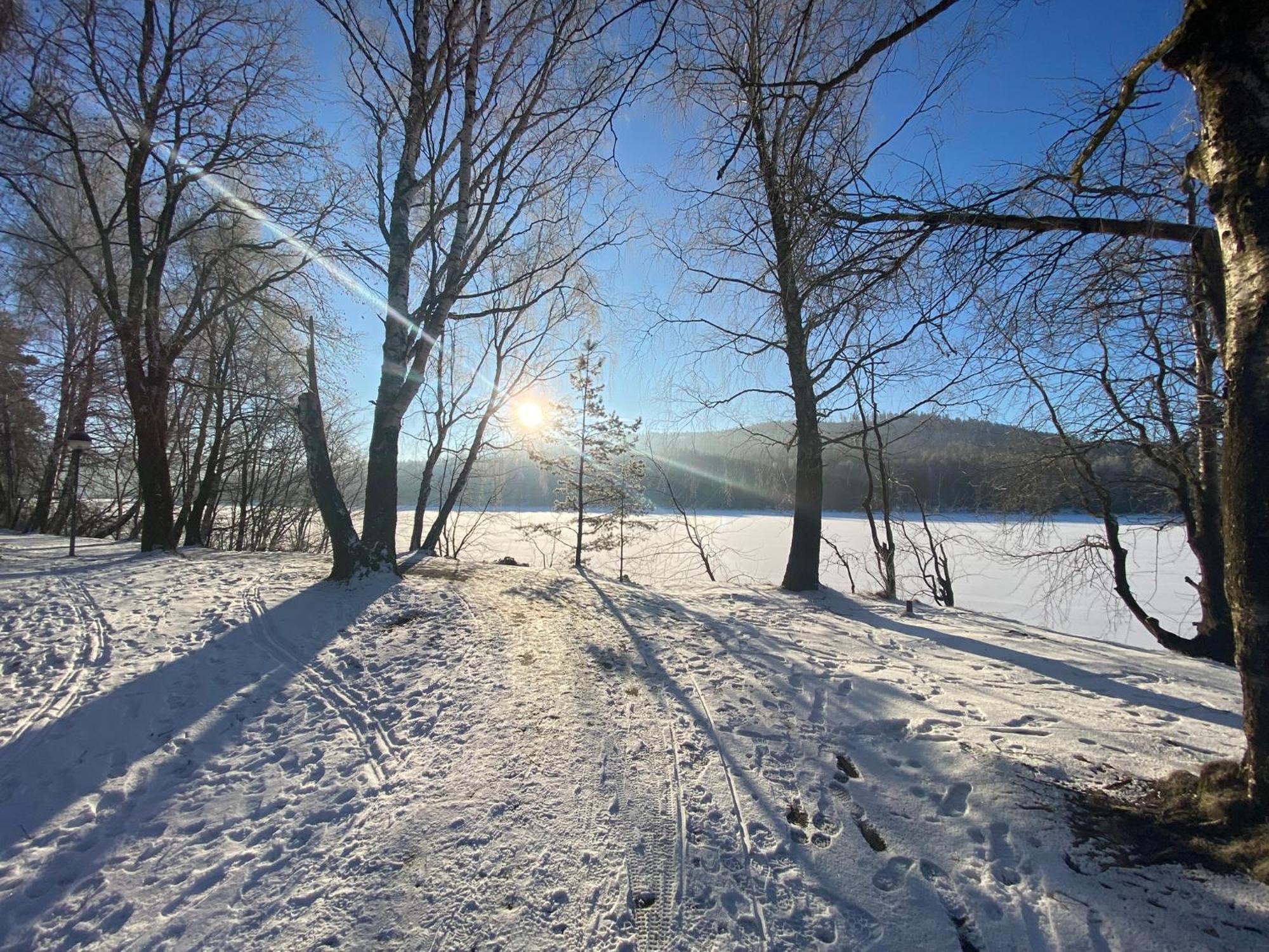 Apartman Verca Riviera Lipno 510 Lipno nad Vltavou Exteriör bild