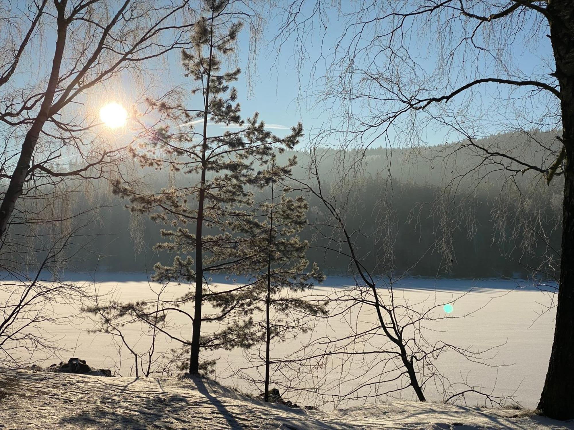 Apartman Verca Riviera Lipno 510 Lipno nad Vltavou Exteriör bild
